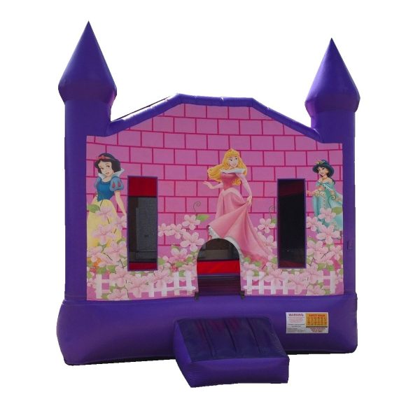 Disney Princess Bounce Rental