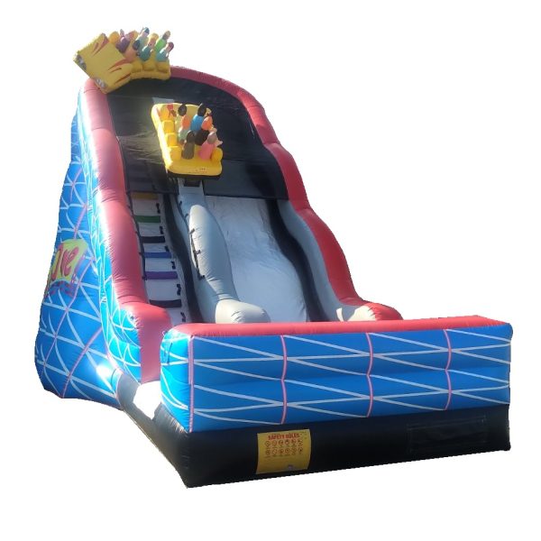 Wild Slide Super Inflatable Bouncy Slide rental Mississauga.