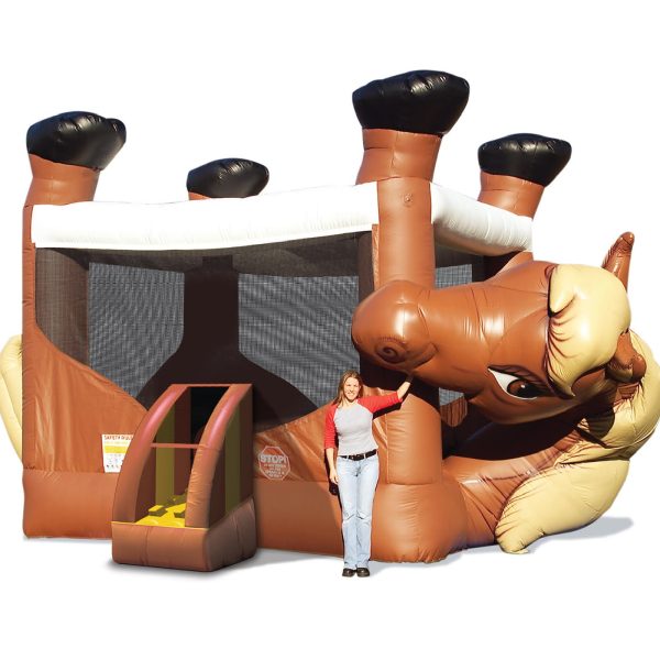 Bronco Horse Belly Bouncy Castle Rental in Mississauga